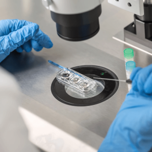 التلقيح الصناعي